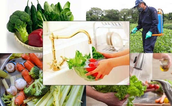 8 cách đơn giản rửa trái cây rau củ sạch thuốc trừ sâu